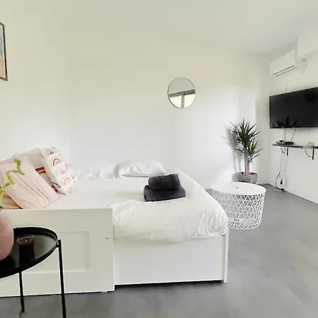 La Pastourelle Close To Sea Pool Parking نيس